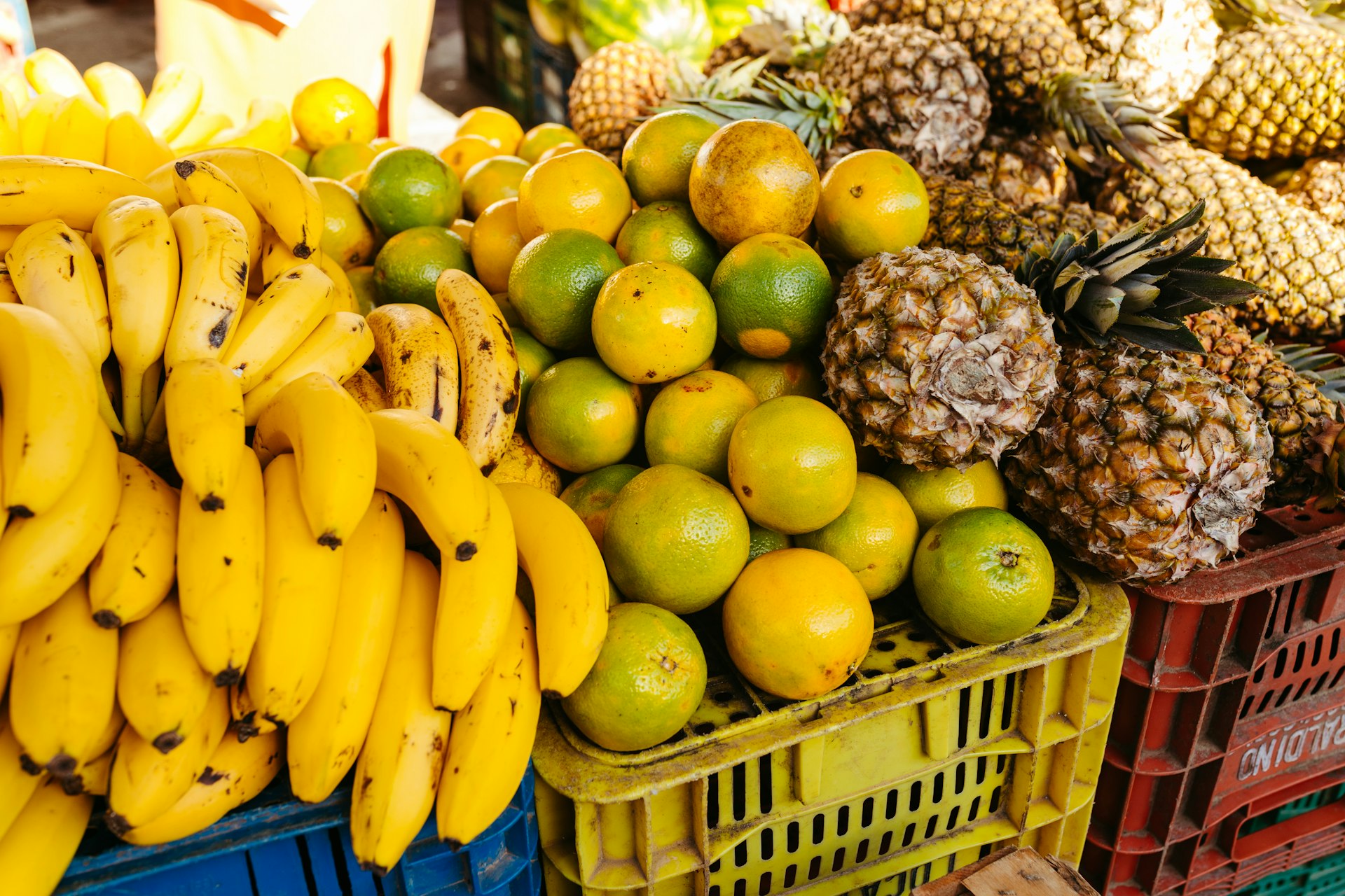 a pile of fruit sitting on top of crates